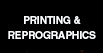 Photographics and Fine Art
